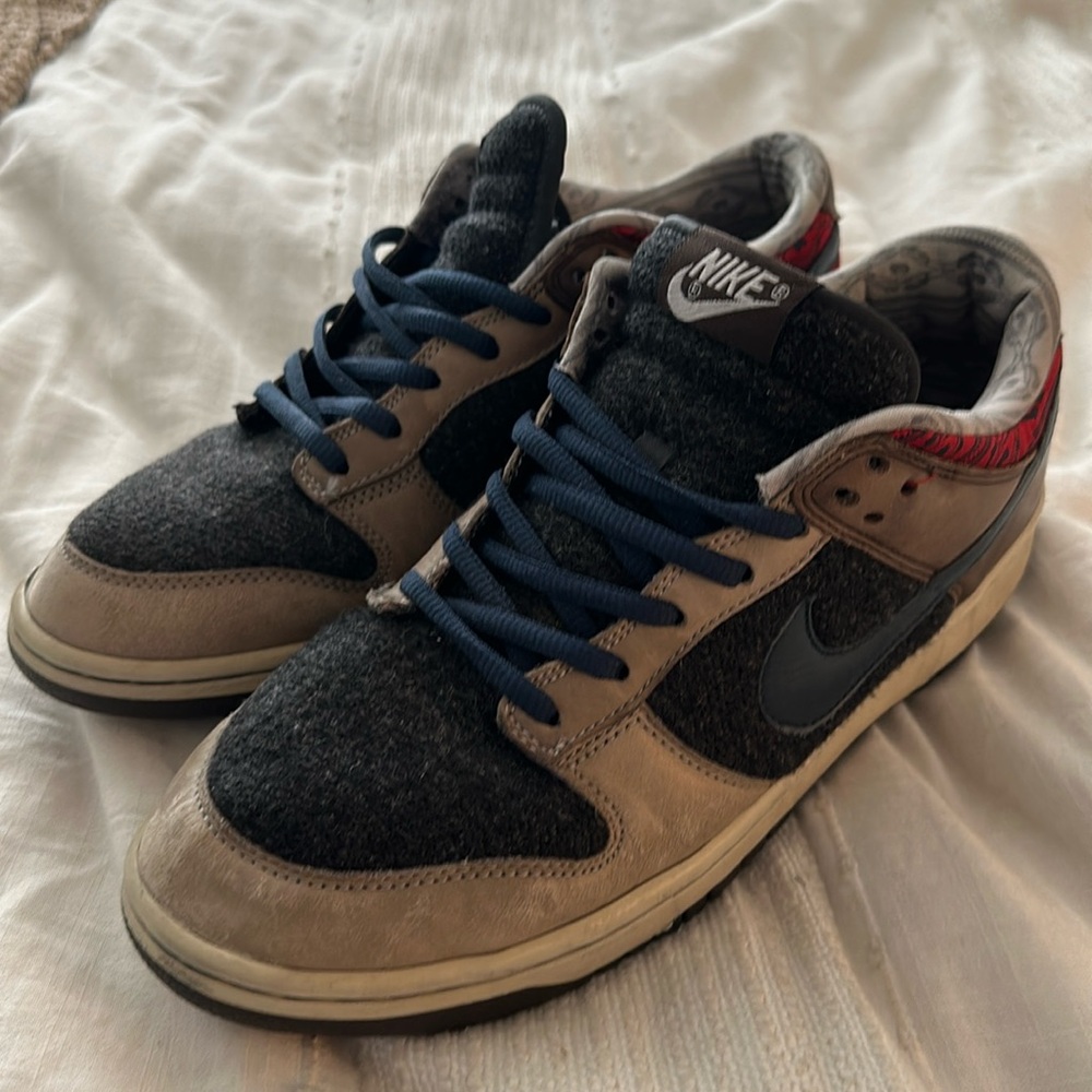 Nike Dunk Nordic Rare